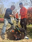 崂山区专业清理化粪池隔油池